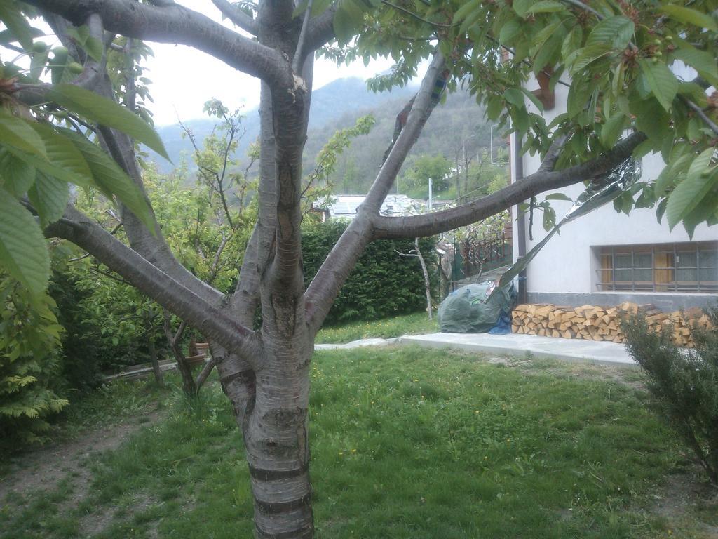 圣文森特Casa Adriana公寓 外观 照片